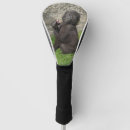 Search for gorilla golf head covers Cute