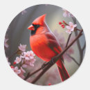 Search for red cardinal stickers Nature