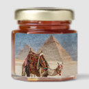 Search for camel favors Desert