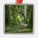 Search for olympic national park ornaments Outdoors