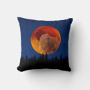 Search for seasonal pillows Seasons