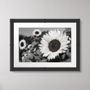 Search for black white sunflower art Monochrome