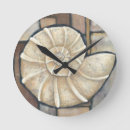 Search for seashell clocks Chariklia zarris