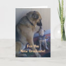 Search for australian cattle dogs cards Puppy
