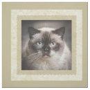 Search for photo quilt squares Quilting