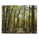 Search for virginia puzzles Autumn