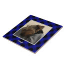 Search for frame tiles Dog