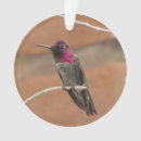 Search for hummingbird ornaments Green