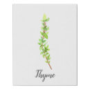 Search for kitchen herb art Plant