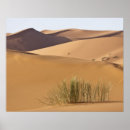 Search for morocco posters Arab