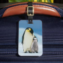 Search for penguin luggage tags Snow hill island