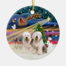 Search for old english sheepdog ornaments Pets