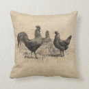 Search for vintage pillows Rustic