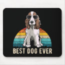 Search for english springer spaniel gifts funny