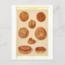 Search for bulgaria postcards Balkan