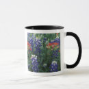 Search for texas bluebonnet mugs Colorful
