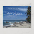 Search for beach moving announcement cards Palm tree