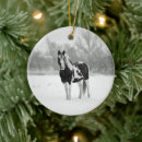 Search for horse ornaments Black and white