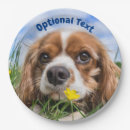 Search for dog paper plates Animal