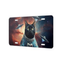 Search for space cat plates Universe