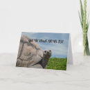 Search for sea turtle birthday cards Animal