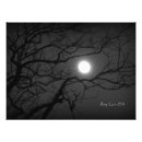 Search for black and white landscape posters Night