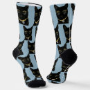 Search for cat socks Humor