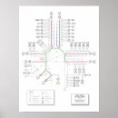 Search for infographic posters Space