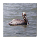 Search for pelican tiles Animal
