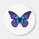 Search for butterfly magnets Beauty