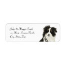 Search for border collie return address labels Pet