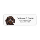 Search for dachshund return address labels Pet