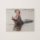 Search for hippopotamus puzzles Wildlife