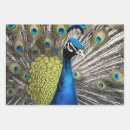 Search for peacock wrapping paper Animal