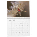Search for insect calendars 2026