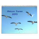 Search for peacock calendars Nature