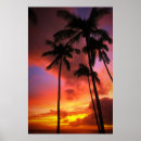 Search for palm trees posters Maui