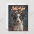Search for dog christmas postcards Santa