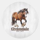Search for clydesdale horse Equestrian