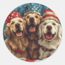 Search for 4th of july golden retriever Puppies