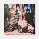 Search for sequoia national park magnets Giant sequoias