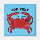 Search for maryland magnets Blue