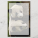 Search for panda stationery paper Habitat loss
