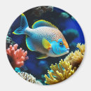 Search for fish magnets Cute