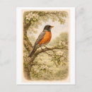 Search for vintage bird postcards Antique