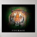 Search for tiger eyes posters Big cats