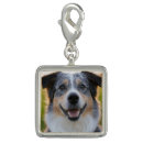 Search for dog jewelry Pet