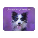 Search for dog with angel wings White