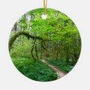 Search for olympic national park ornaments Nature