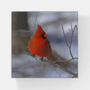 Search for red cardinal paperweight paperweights Bird